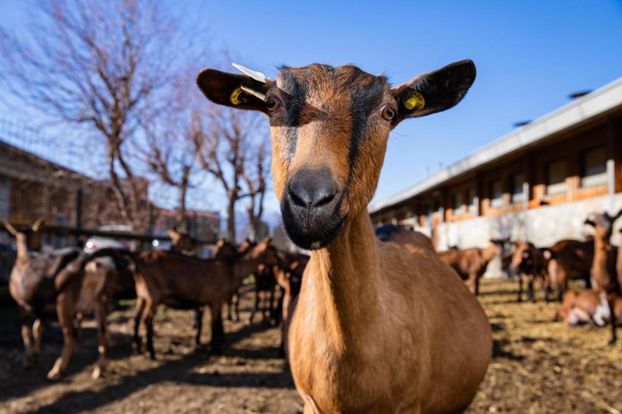 Vila Agriturismo La Fiorida Mantello Exteriér fotografie